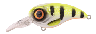 0001_Spro_Fat_Iris_60_CR__[Hot_Perch].jpg